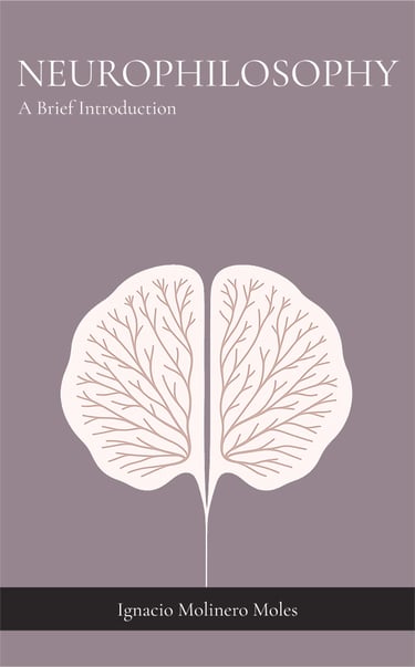 Neurophilosophy - A Brief Introduction
